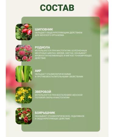 Altai cedar Phytochai Altai 1 for women. With a red brush 30 p 2 g - Buy Online on GoSupps.com