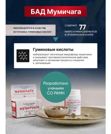 Altai cedar Mummichaga - mumiyo chaga 100 tablet 0.55g - Buy Online on GoSupps.com