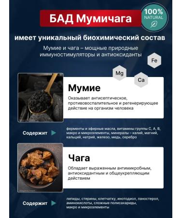 Altai cedar Mummichaga - mumiyo chaga 100 tablet 0.55g - Buy Online on GoSupps.com