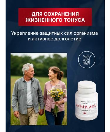 Altai cedar Mummichaga - mumiyo chaga 100 tablet 0.55g - Buy Online on GoSupps.com