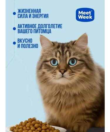 MeetWeek Dry food for cats white fish 1.5 kg - Buy Online on GoSupps.com