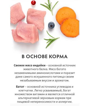 Grandorf fresh For dogs of small breeds fresh turkey 3kg - Buy Online on GoSupps.com