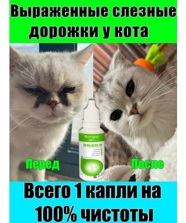 Eye drops for cats 40 ml