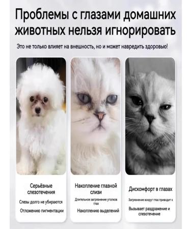 Eye drops for cats 40 ml - Buy Online on GoSupps.com