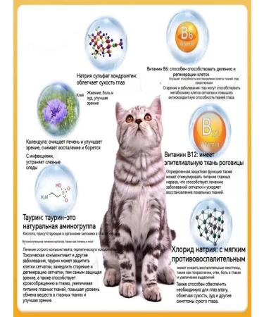 Eye drops for cats 40 ml - Buy Online on GoSupps.com