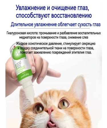 Eye drops for cats 40 ml - Buy Online on GoSupps.com