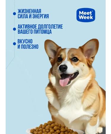 MeetWeek Dry food for medium dogs beef with vegetables 0.5 kg - Buy Online on GoSupps.com