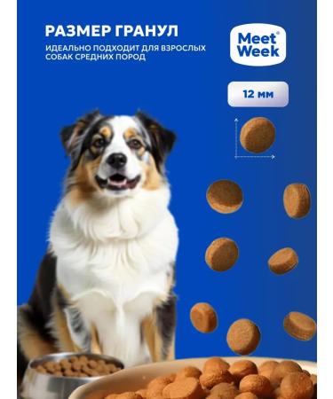 MeetWeek Dry food for dogs of medium breeds bird with vegetables 1.2 kg - Buy Online on GoSupps.com