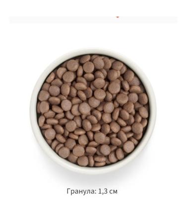 Grandorf fresh For dogs of medium and large rocks fresh turkey 3kg - Buy Online on GoSupps.com