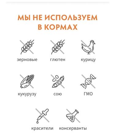 Grandorf fresh For dogs of medium and large rocks fresh turkey 3kg - Buy Online on GoSupps.com