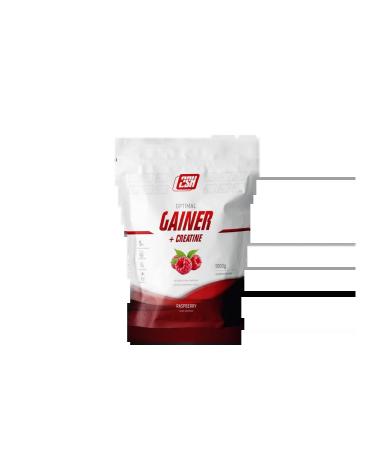 2SN Gainer Plus creatine Optimal Gainer 1000 grams of raspberries