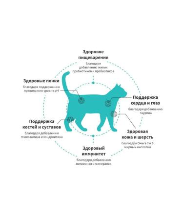 Grandorf fresh For sterilized cats fresh salmon salmon - Buy Online on GoSupps.com