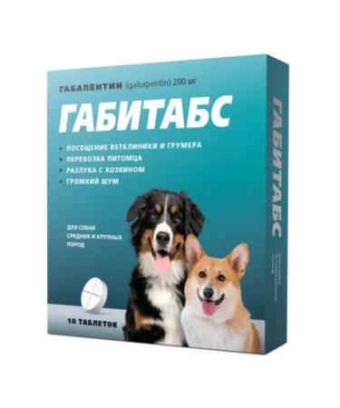 Apicenna Gabitabs 200 mg for medium and large breed dogs 10 tablets - Buy Online on GoSupps.com
