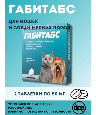 Apicenna Gabitabs 50 mg for cats and dogs of small breeds 2 tablets