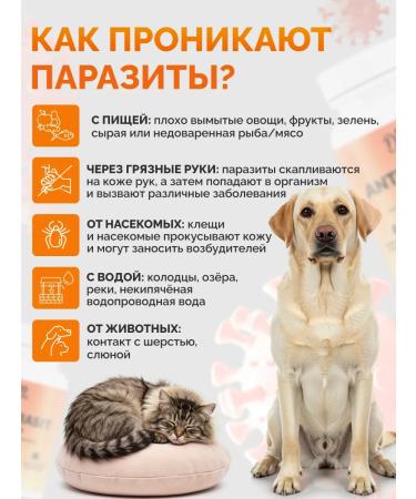 Deva Slim Antiparasitic complex from worms and parasites - Buy Online on GoSupps.com