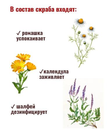 NATURUS Salt scrub on the herbs for the body - Buy Online on GoSupps.com