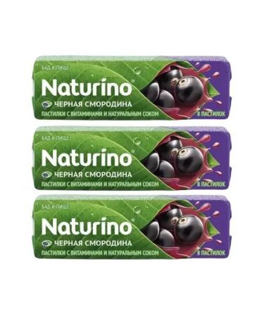 Sweet Tec GmbH Naturino loaf of currants 8 loafers of 4.2 g x 3