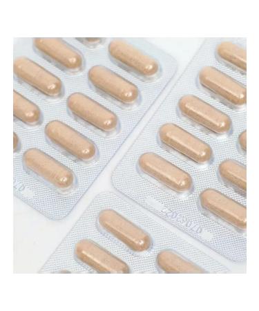 ALTAI NECTAR Msakulinx Strong 60 capsules of 450 mg - Buy Online on GoSupps.com