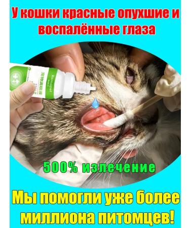 Eye drops for cats and dogs with conjunctivitis 40 ml