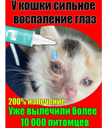 Eye drops for cats and dogs from conjunctivitis 120ml