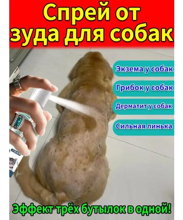 Spray from itching for dogs 100ml