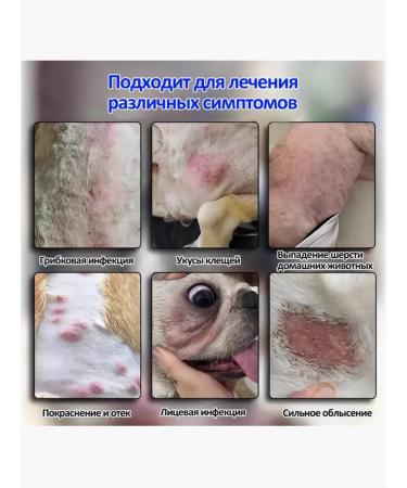 Spray from itching for dogs 100ml - Buy Online on GoSupps.com