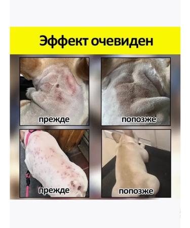 Spray from itching for dogs 100ml - Buy Online on GoSupps.com