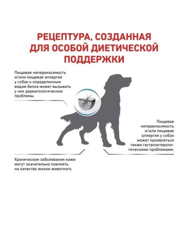 ROYAL CANIN Dry food for dogs for Anallergenic 3 kg allergies - Buy Online on GoSupps.com