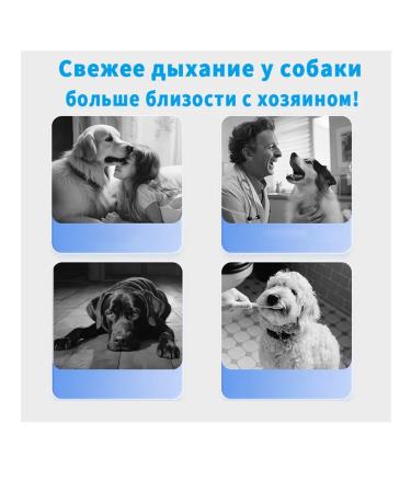 Lotion for dogs' teeth - Buy Online on GoSupps.com