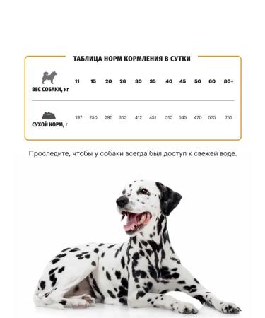 KARMY Dog food Active Medium & Maxi turkey 14 kg - Buy Online on GoSupps.com