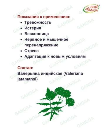 Shri Ganga Tagar Tagara Tagar Sri Ganges 3x120 tab - Buy Online on GoSupps.com