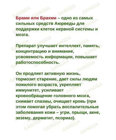 Gangga Brahmi Sri Brami Brahmi 2x60 tab - Buy Online on GoSupps.com