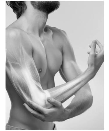 Siberian immunity Joint ointment from pain Zhivikost Forte 2 pcs - Buy Online on GoSupps.com