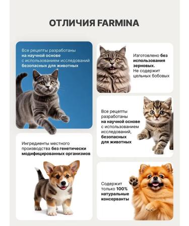 Farmina Dry low -grain food for dogs of medium and large rocks - Buy Online on GoSupps.com