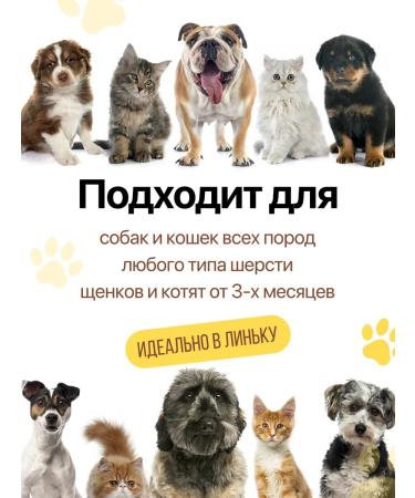 Softail Shampoo for dogs and cats with chlorhexidine 2% - Buy Online on GoSupps.com