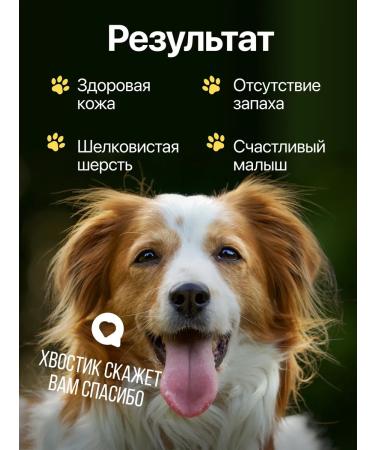 Softail Shampoo for dogs and cats with chlorhexidine 2% - Buy Online on GoSupps.com