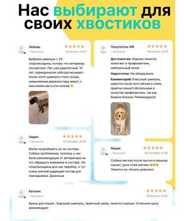 Softail Shampoo for dogs and cats with chlorhexidine 2% - Buy Online on GoSupps.com