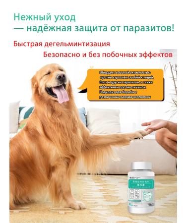 tablets from worms for cats and dogs - Buy Online on GoSupps.com