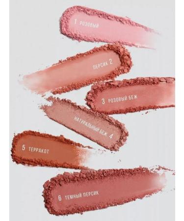 LUXVISAGE Silk Dream Blusher Blink Satin tone 1 - Buy Online on GoSupps.com