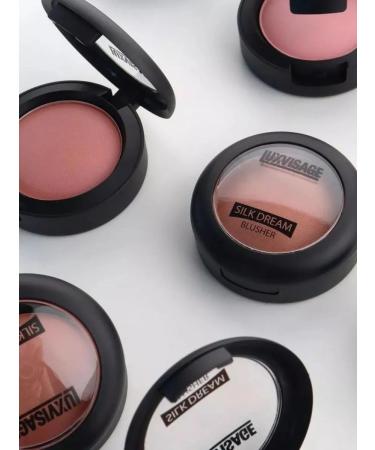 LUXVISAGE Silk Dream Blusher Blink Satin tone 4 - Buy Online on GoSupps.com