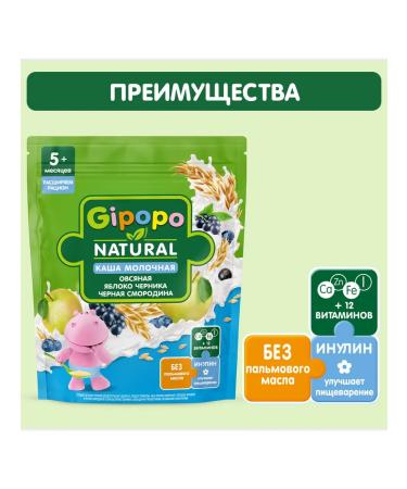 GIPOPO Milk oatmeal porridge with apple blueberry and black currant 340 grams - Buy Online on GoSupps.com