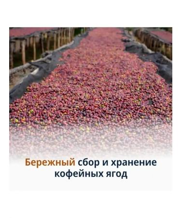 Delonghi Signature Caffeine Blend 1 kg coffee - Buy Online on GoSupps.com