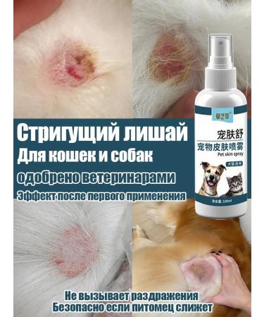 Strigeous lichen in animals