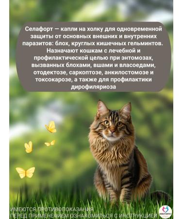 KRKA Drops Antiparasite Sealess for Cats 7.6-10 kg - Buy Online on GoSupps.com