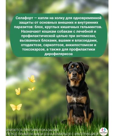 KRKA Drops Antiparasite Zealaf for dogs 20.1-40 kg - Buy Online on GoSupps.com