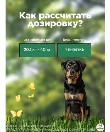 KRKA Drops Antiparasite Zealaf for dogs 20.1-40 kg - Buy Online on GoSupps.com