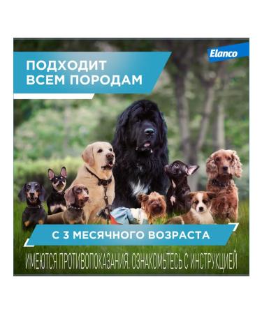 Elanco Kiltiks collar for dogs of large rocks 65 cm - Buy Online on GoSupps.com