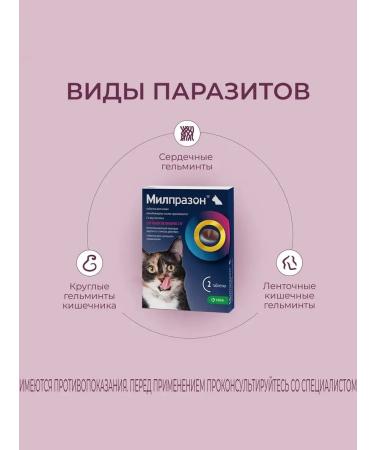 KRKA Milprazone Antigelmintic tablets for cats more than 2 kg - Buy Online on GoSupps.com