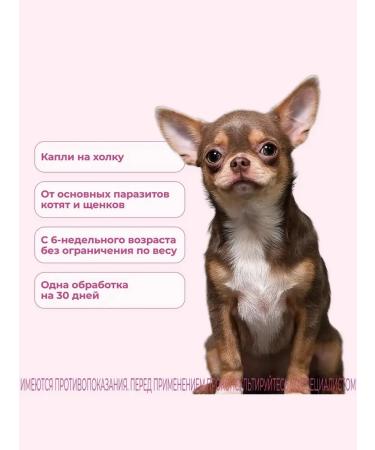 KRKA Sealess Cats and Dogs  - Buy Online on GoSupps.com