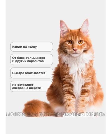 KRKA Sealess Cat drops from 7.6 to 10 kg - Buy Online on GoSupps.com